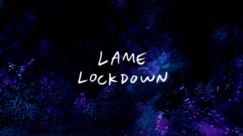 33 серия 7 сезона Lame Lockdown