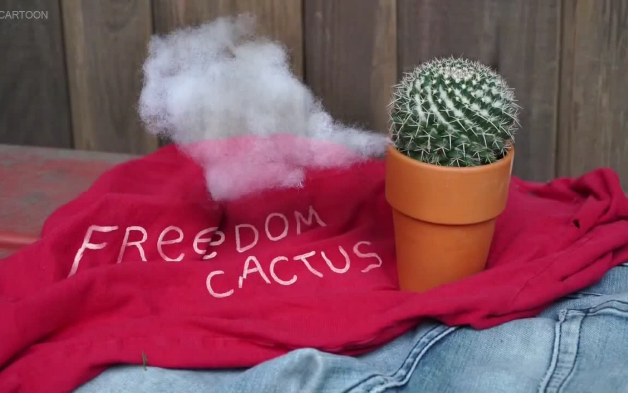 4 серия 2 сезона Clarence / Клэренс Freedom Cactus