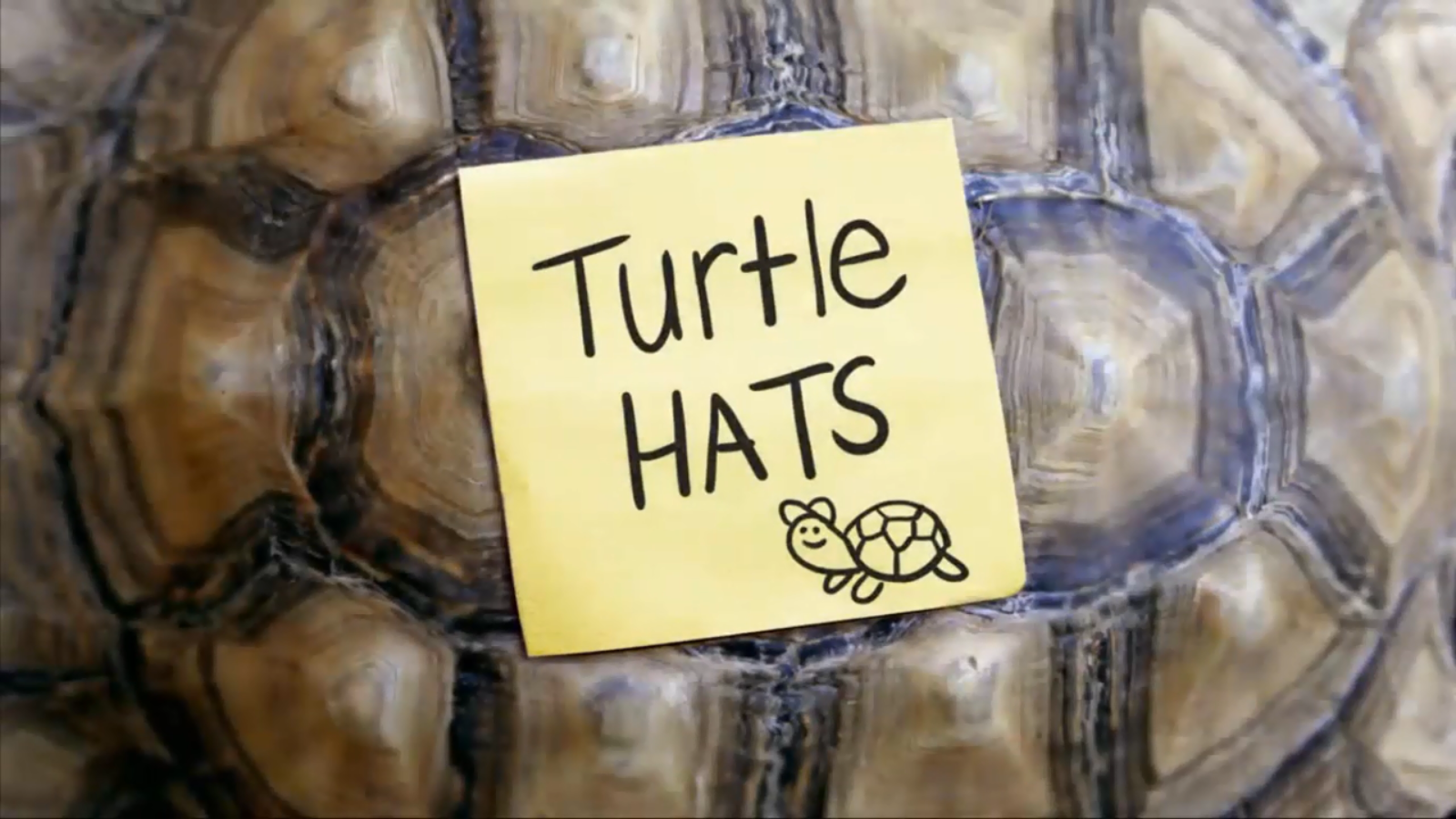 31 серия 1 сезона Clarence / Клэренс Turtle Hats